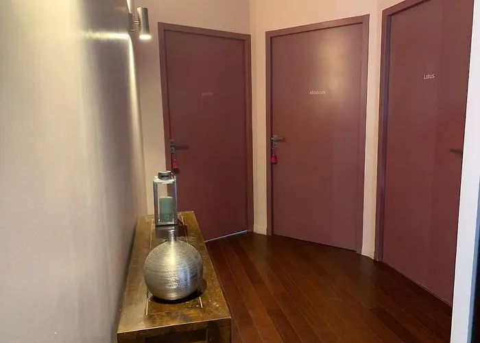 Beau T4 Hyper Centre Avec Parking Appartement Perpignan