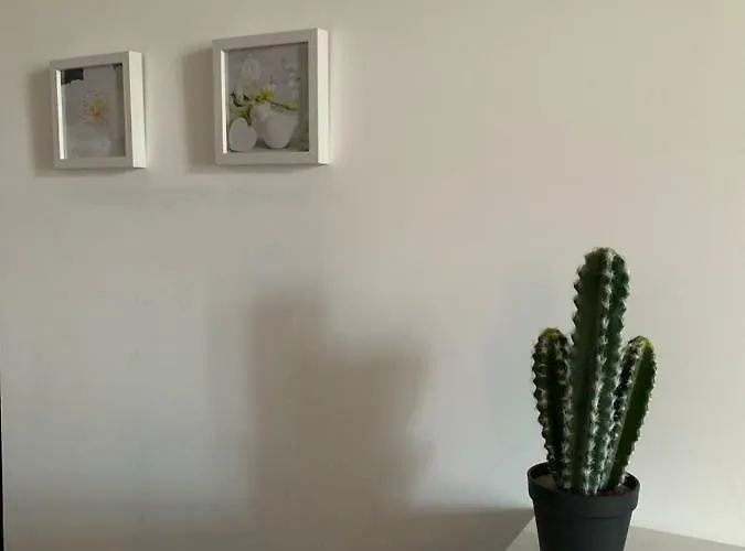 Beau T4 Hyper Centre Avec Parking Appartement Perpignan